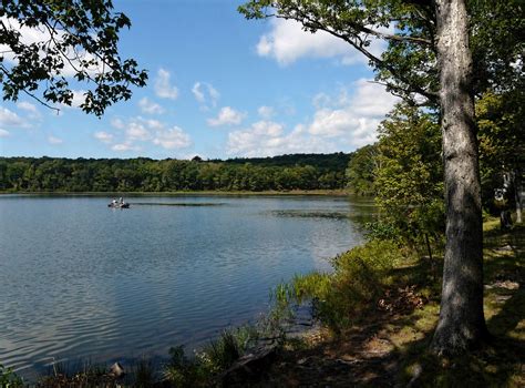 Summer Lake Free Stock Photo Public Domain Pictures