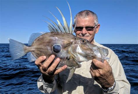 John Dory Fishing Fishing Wa Fishing Photos And Videos