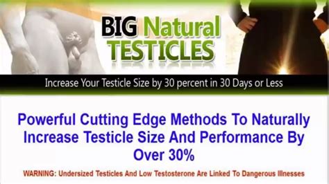 How To Increase Testicle Size Naturally How To Increase Testicle Size