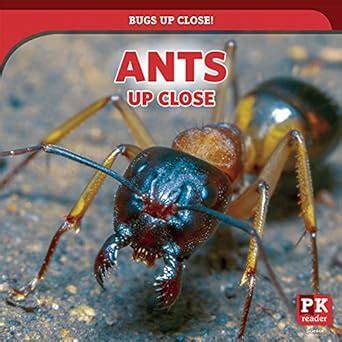 Buy Ants Up Close Bugs Up Close Book Online At Low Prices In India