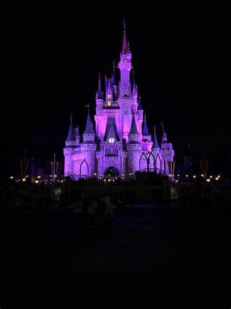 Magic Kingdom And Cinderella Castle Are Absolutely Gorgeous At Night