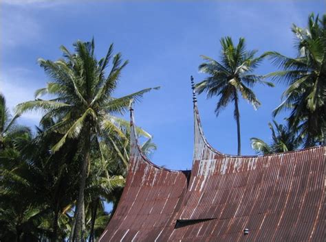 A set of things, such as tools or clothes, used for a particular purpose or activity: 亜細亜の街角｜旅行記｜ブキティンギ｜スマトラ島｜インドネシア