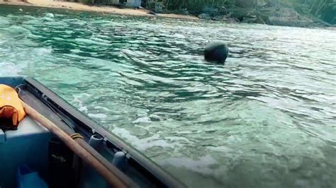 Kayak searches hundreds of travel sites to help you find and book the resort that suits you best. Pulau Aur, Mersing, Johor Bharu - YouTube