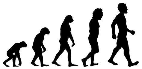 Human Evolution Graphic Photograph By Sergio Barrios