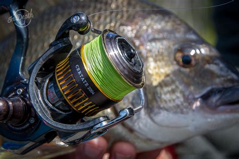 Review Daiwa Morethan Braid