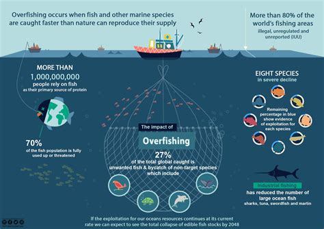 Overfishing Fish Activities Science Projects Infographic