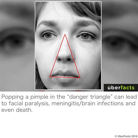 Danger Triangle Of The Face Fun Facts Scary Facts Did You Know Facts