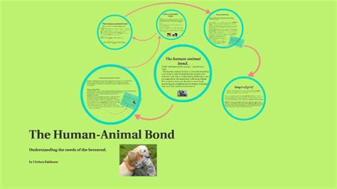 The Human Animal Bond By Chelsea Fairhurst
