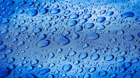 Raindrops Droplets Water Free Photo On Pixabay Pixabay