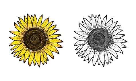 Top 116 Sunflower Cartoon Black And White
