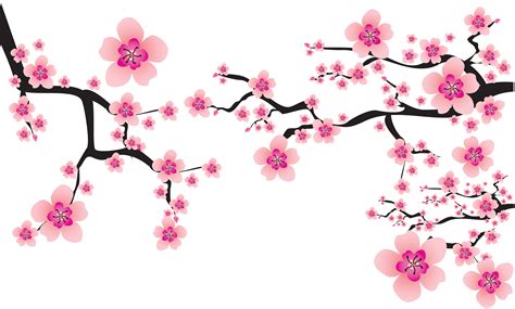 Cherry blossom Cerasus Clip art - sakura png download - 7165*4313 gambar png