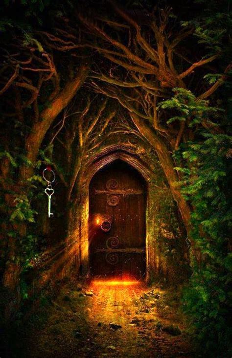 Door Full Of Light In The Enchanted Forest Fantasy Landscape
