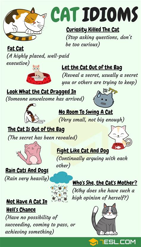 Kids Idioms : The 30 Most Useful Idioms and their Meaning - ESLBuzz ...