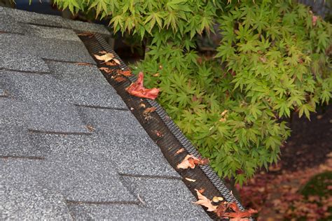 What Are Gutter Screens And How Do They Work