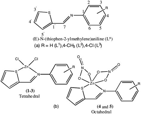 Generic Structure Of The Ligands Abbreviations A L N N 1 3 With