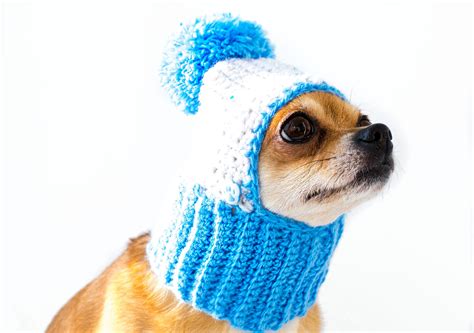 Knitted Dog Hat Blue Crochet Dog Hat With Scarf Winter Dog Etsy