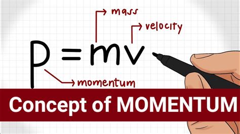 Momentum Class 9 Physics Youtube