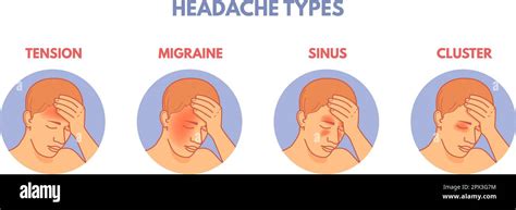 Headache Types Headaches Areas Infographic Diagram Medical Poster