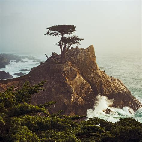 Lone Cypress 17 Mile Drive Monterey Peninsula California H Flickr