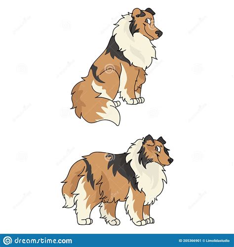 Cute Cartoon Rough Collie Dog Vector Clipart Pedigree Kennel Doggie