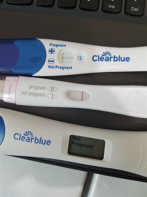 Negative Pregnancy Test At 8 Weeks Pregnancy Test