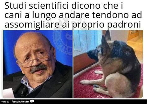 Maurizio costanzo è un animale mitologico della televisione italiana , uno di quei personaggi e alle volte i meme entrano a gamba tesa anche nella realtà: Tutti i meme su Maurizio Costanzo - Facciabuco.com