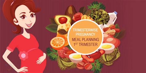 trimesterwise pregnancy meal planning 1st trimester fernandez hospital