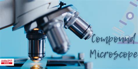 Compound Microscope Diagram Parts And Functions