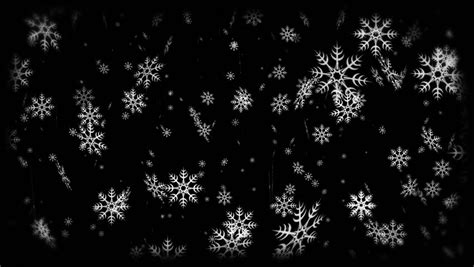 Snowflakes Falling On Black Background Stock Footage Video 5086757