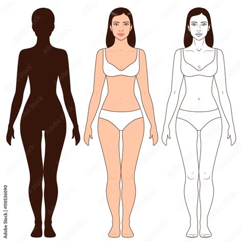 Woman Body Shape And Silhouette Template Stock Vector Adobe Stock