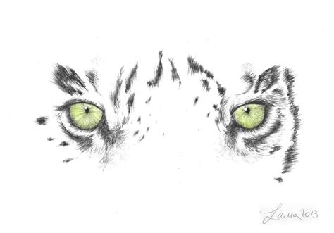 Eye Of The Tiger By Laur A Rt On Deviantart