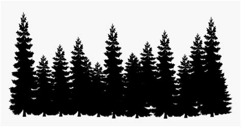 Tree Line Png Black Pine Tree Silhouette Transparent Png
