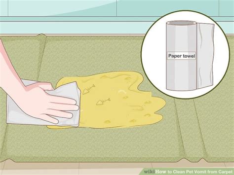 How To Clean Cat Vomit Stains From Carpet