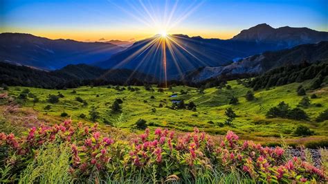 1920x1080 Resolution Meadow Flowers Mountains 1080p Laptop Full Hd
