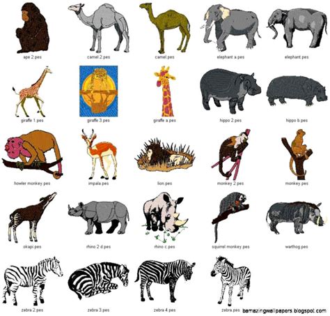 Mammals Animals Names Amazing Wallpapers