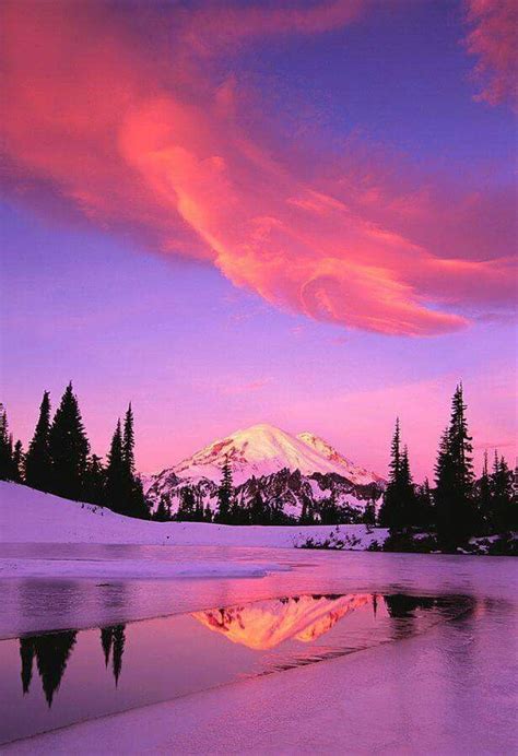 Mt Rainier National Park Beautiful Sunrise Nature Nature Photography