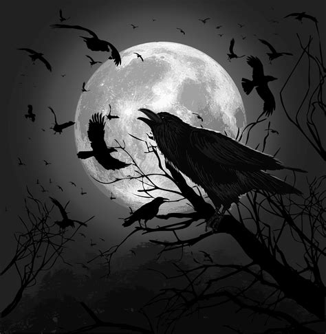 Raven Moon Raven Art Beautiful Dark Art Crow Art