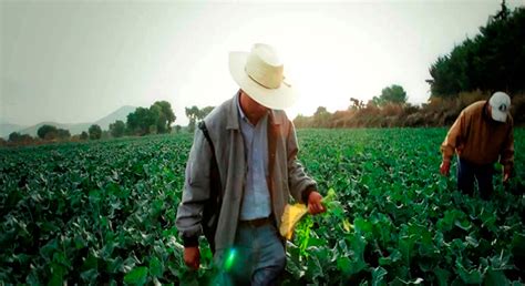 Díadeltrabajo Trabajar En El Campo Es Una Experiencia única