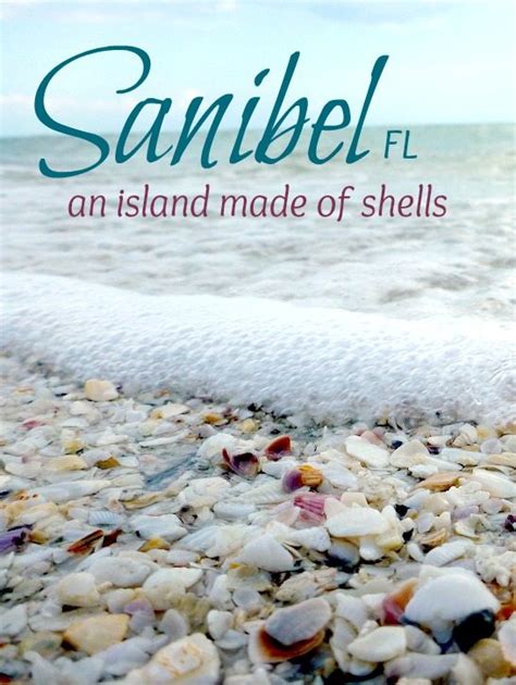 Sanibel Island Fl The Worlds Best Shelling Beaches