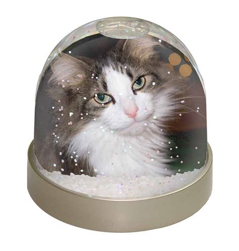 In addition to a little quiet alone time, the box keeps litter from flying everywhere. Promotional Beautiful Tabby Cat Photo Snow Globe Waterball ...