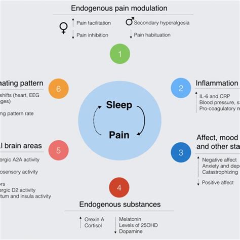 Possible Mechanisms Underlaying The Sleeppain Relationship In Sleep