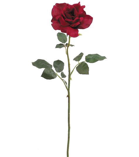 Monkey tattooing since 2001 on instagram: 26'' American Beauty Rose Spray Red at Joann.com | Red ...