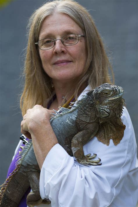 Peaceful Passages of Maine