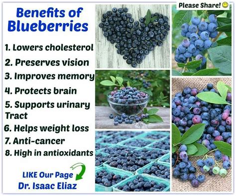 health benefits health benefits blueberries