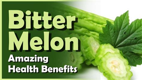 It has been extracted, packed in dietary pills, and powdered because of the several health benefits that it offers. Bitter Melon Health Benefits - Amazing Uses of Bitter ...