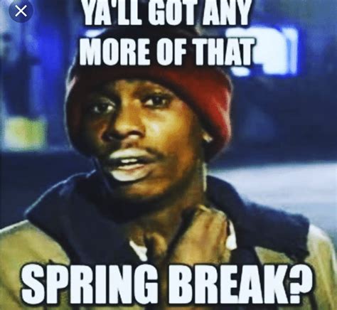 These Super Funny Spring Break Memes Will Get Your Through The Rest Of The Year Bring Me Back