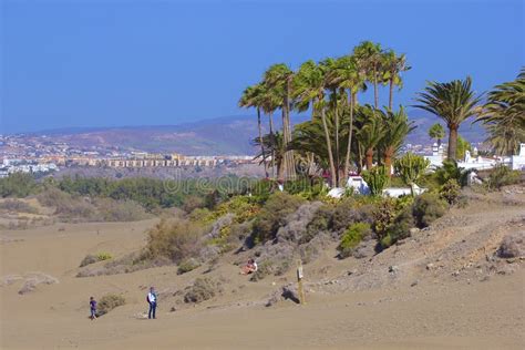 Sandiga Dyn I Den Ber Mda Naturliga Maspalomas Stranden Canaria Gran Spain Fotografering F R