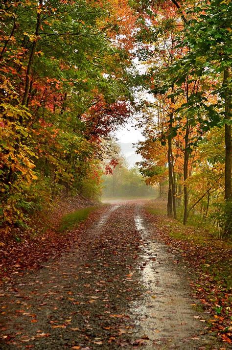 Fall Photograph Rainy Days By Lj Lambert Autumn Landscape Autumn