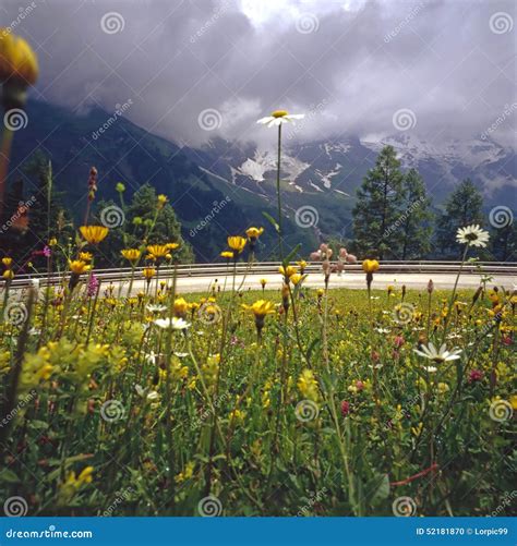 Austrian Alps Stock Photo Image Of Austria Summer Alps 52181870