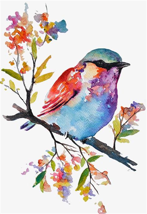 Color Hand Painted Birds Watercolor Bird Bird Watercolor Paintings Watercolor Art Lessons